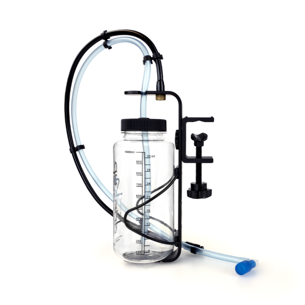 Picture of Drink Up Bottle